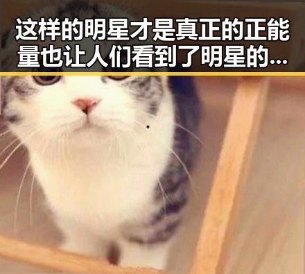 这样的明星才是真正的正能量也让人们看到了明星的多面性娱乐吃瓜之旅中那些星捐款资助贫困地区的明星