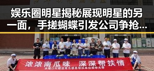 娱乐圈明星揭秘展现明星的另一面，手搓蝴蝶引发公司争抢的内幕