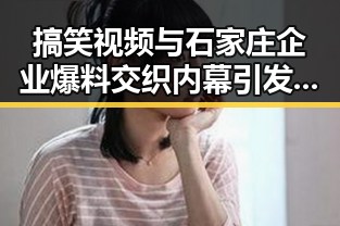 搞笑视频与石家庄企业爆料交织内幕引发深思