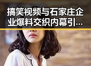 搞笑视频与石家庄企业爆料交织内幕引发深思